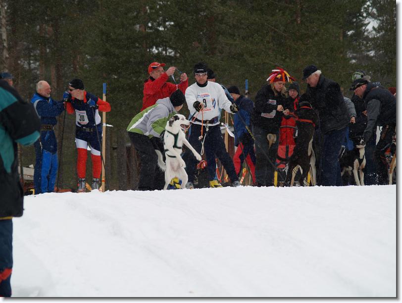 Nästa bild